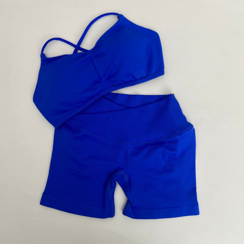 Women's High Stretch Gym Sport - Pilates Yoga Gear 评论和价格